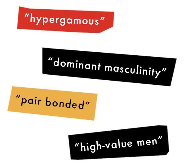 My Brush With the Black Manosphere